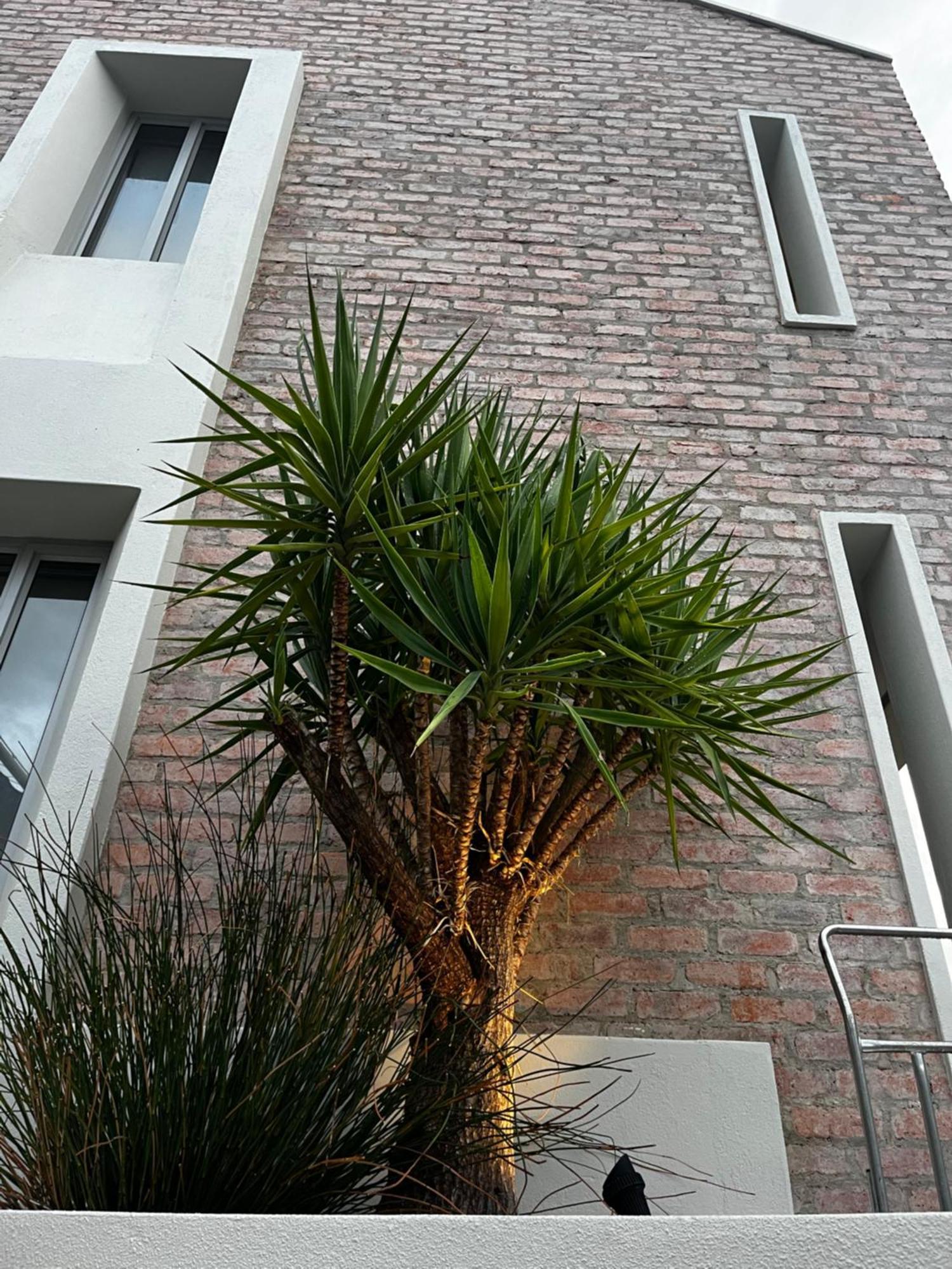 The Windhoek Luxury Suites Eksteriør bilde