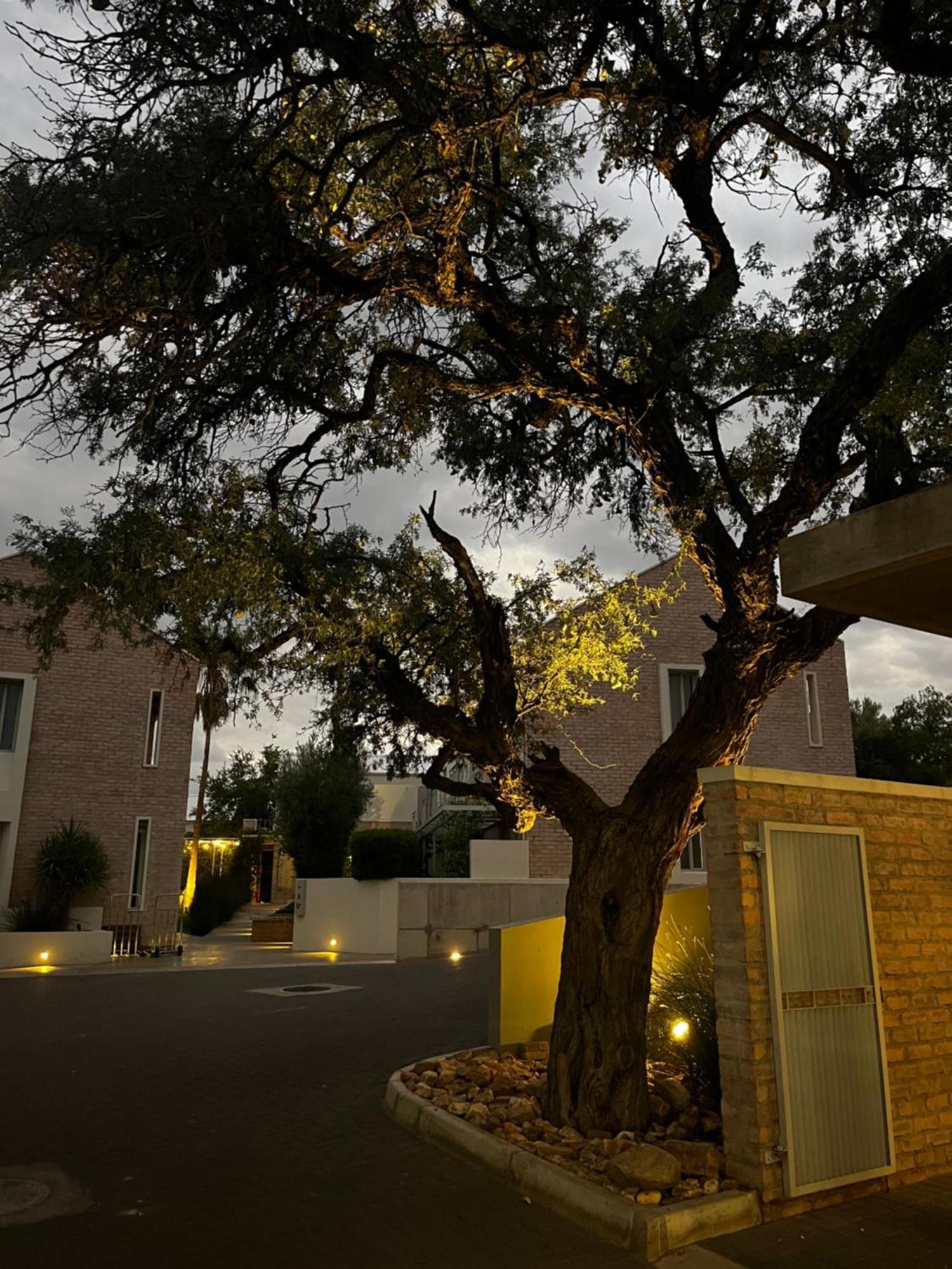 The Windhoek Luxury Suites Eksteriør bilde