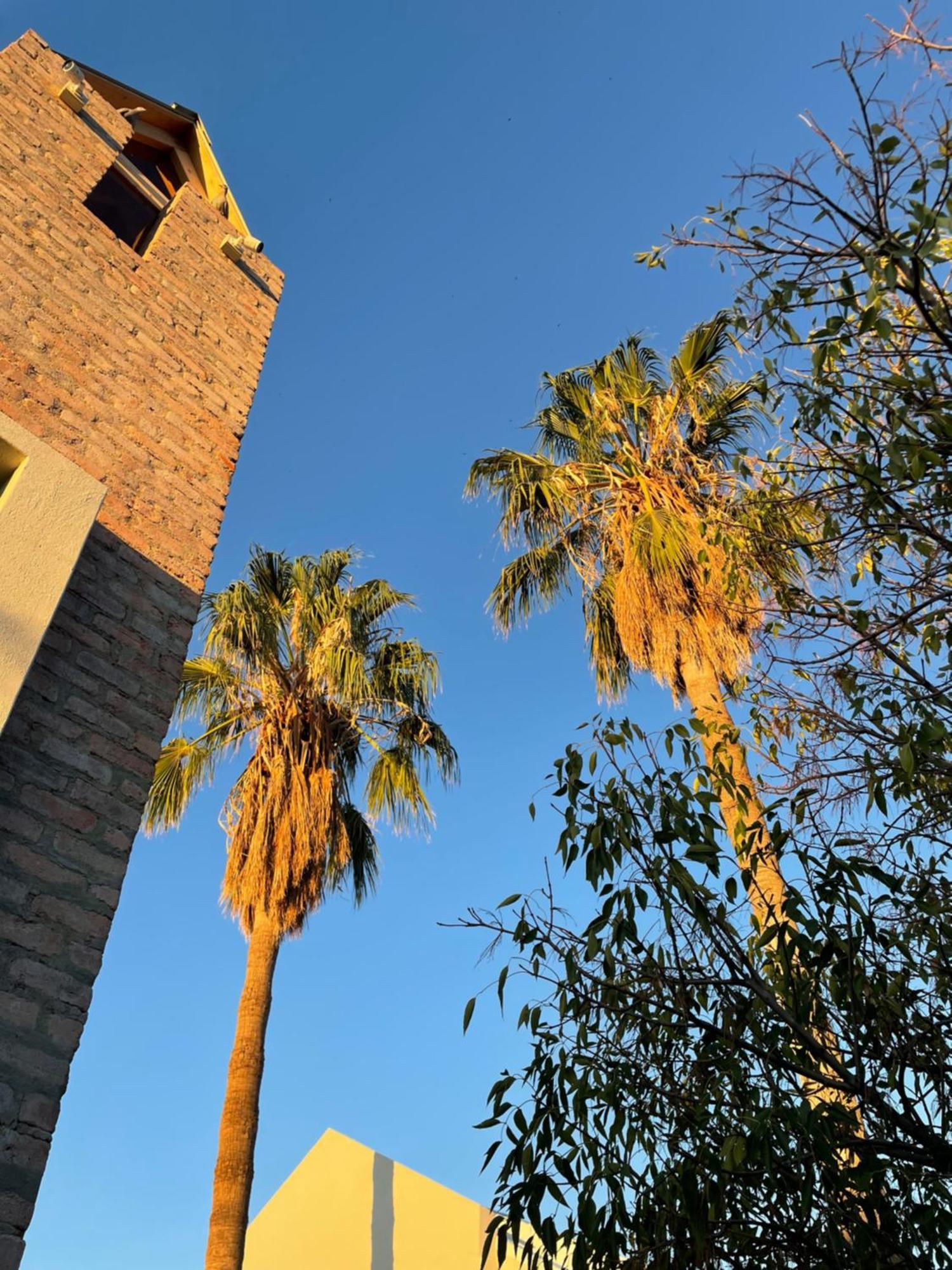 The Windhoek Luxury Suites Eksteriør bilde