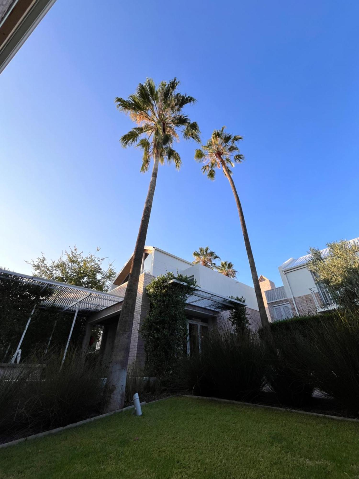 The Windhoek Luxury Suites Eksteriør bilde
